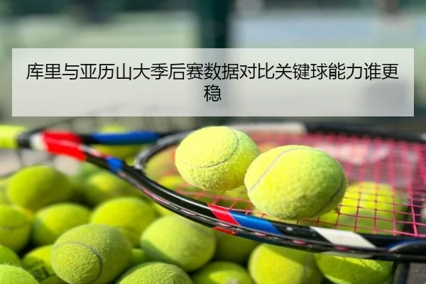 库里与亚历山大季后赛数据对比关键球能力谁更稳